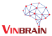 vinbrain